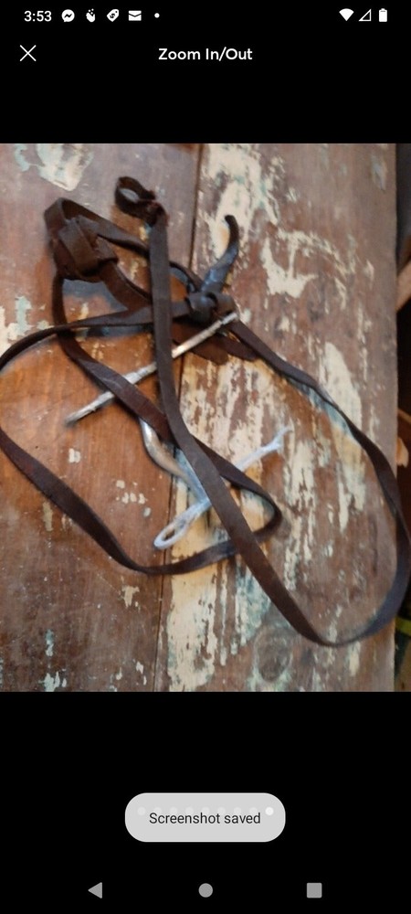 Vintage horse tack bit