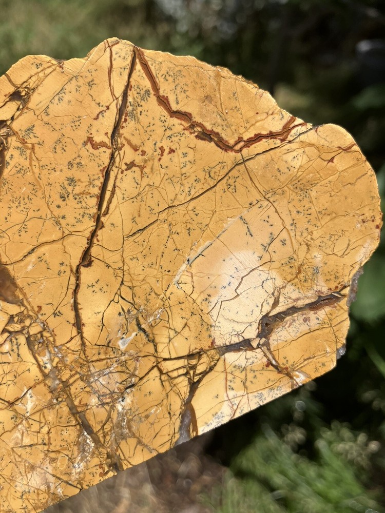 Brecciated Gold Jasper Slab