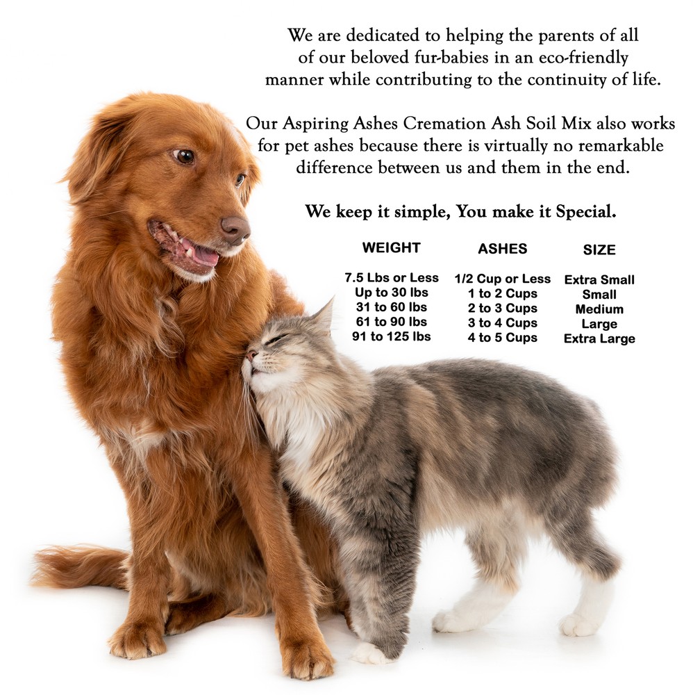 Rainbow Bridge Soil Mix Kit : Pet Memorial Kit - EXTRA SMALL