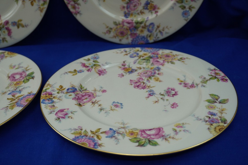 Castleton Sunnybrooke (4) Dinner Plates, 10 3/4" (B54)