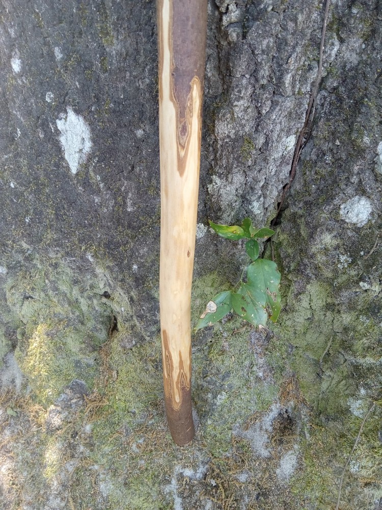 Handmade Unique Viper Snake Walking Cane Solid One Piece Stick