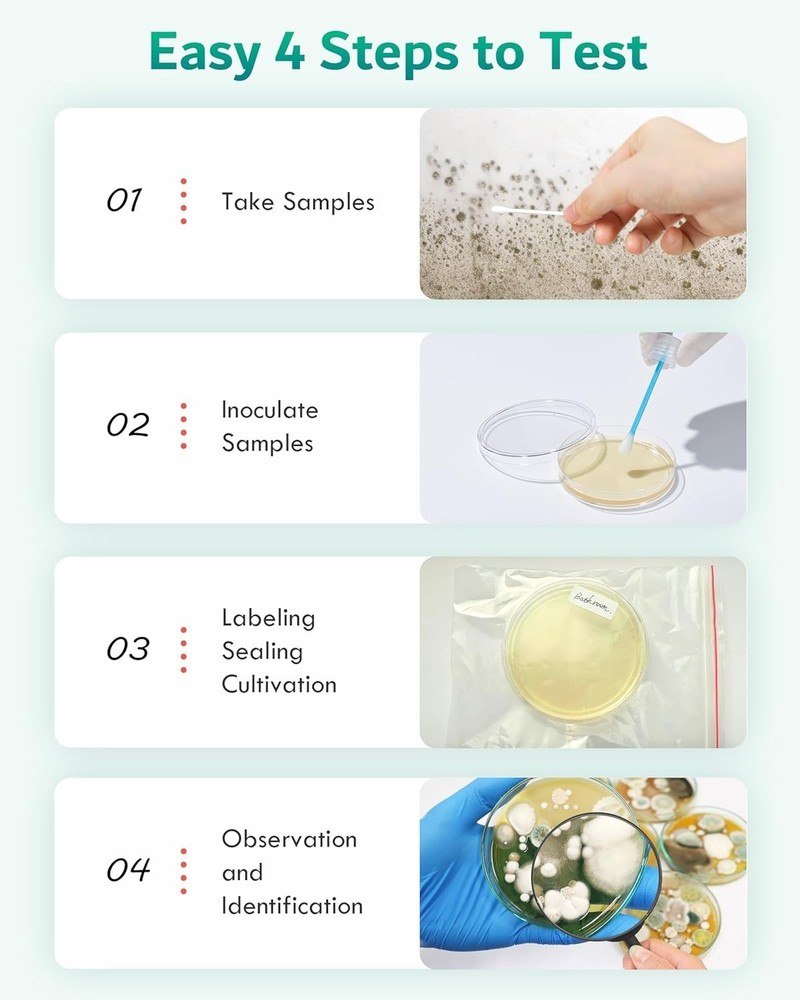 Safe At-Home Mold Testing Kit - 8 Tests, Identification Guide & Expert Support
