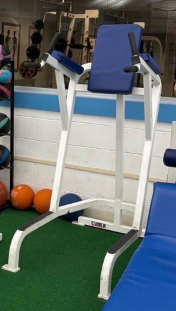 Cybex | VKR Vertical Knee Raise