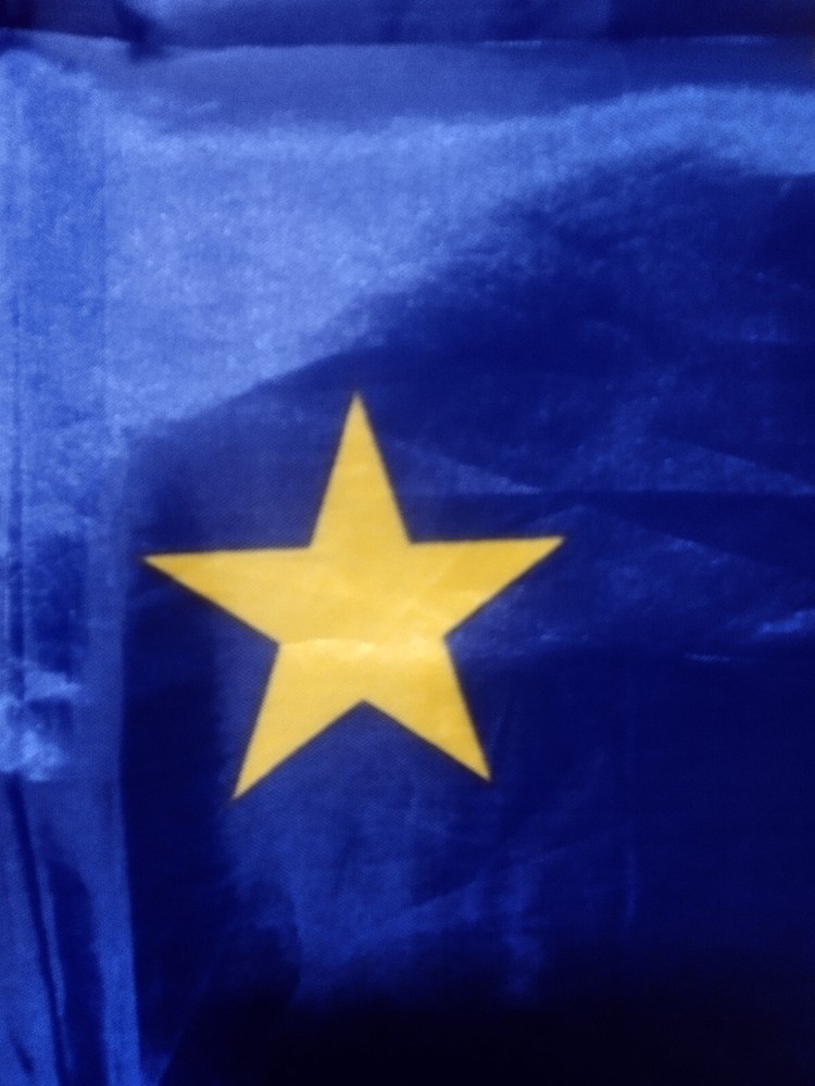 alaska state flag