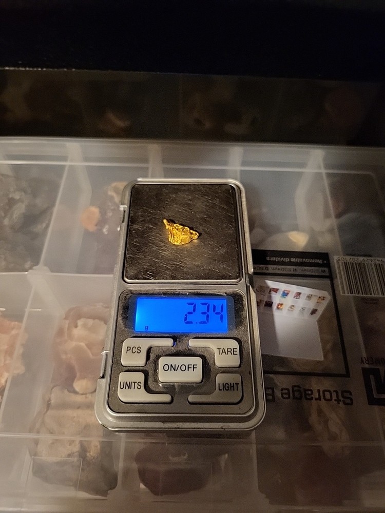 Gold Nugget