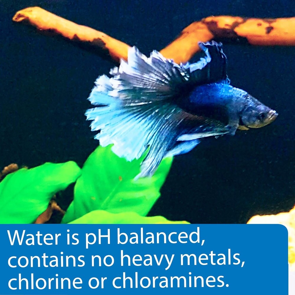 Betta Water 64 OZ