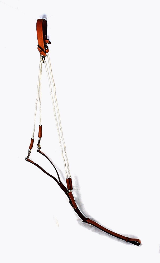 LEATHER AND ROPE GOGUE