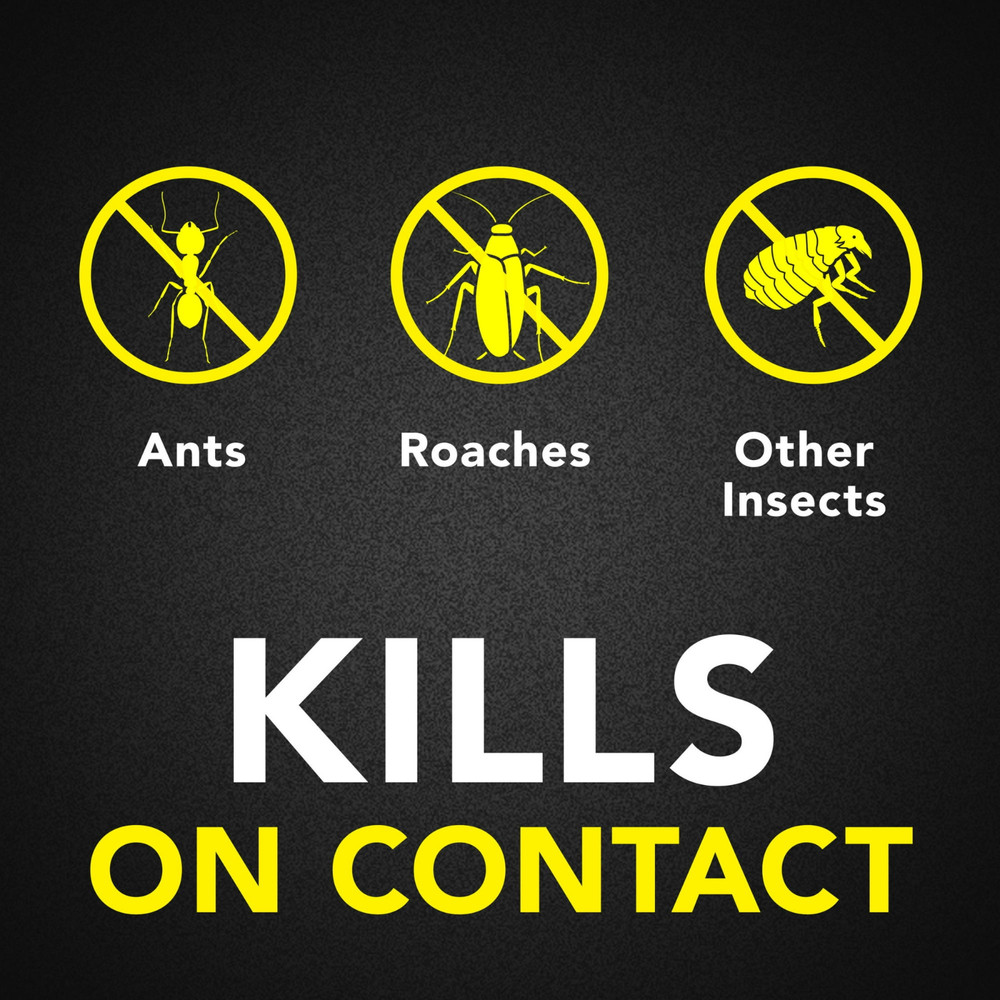 Raid Ant & Roach Killer, 17.5 oz, 2-Pack, Indoor Use, Outdoor Fresh Scent