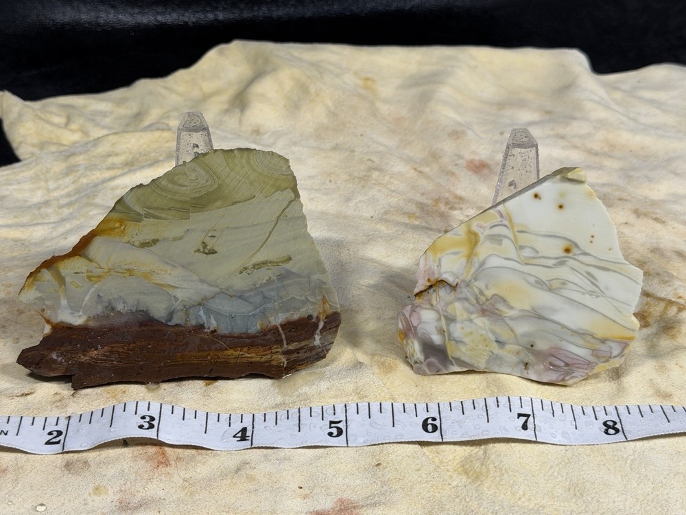 Willow Creek Jasper End Cuts, Lot # 309