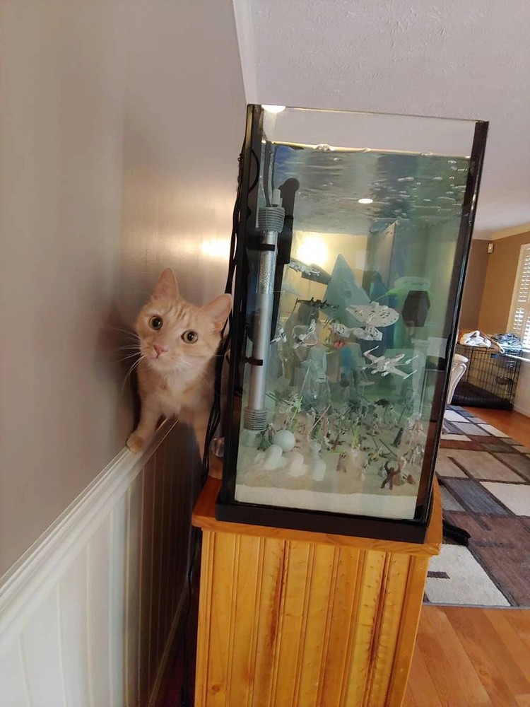 Service: You ship it, I coat it!