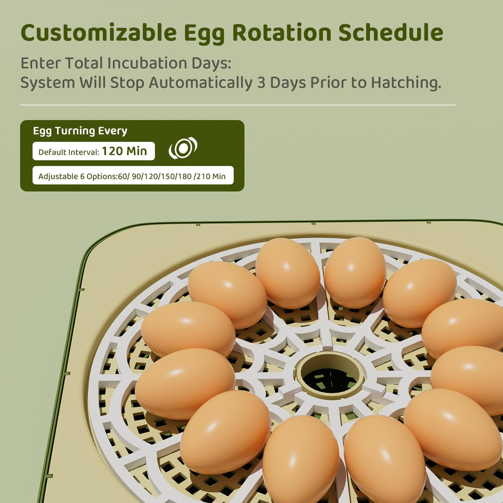 12-Egg Incubator with LED Display, Automatic Temperature and Humidity Control, a
