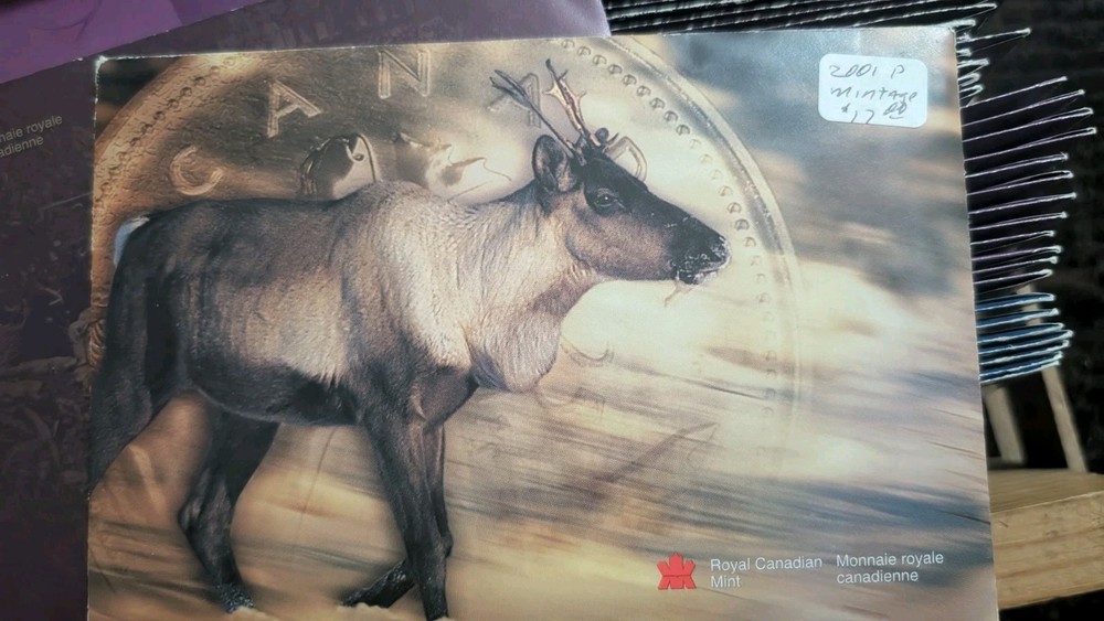 Estate Lot , Minimum 20 Coins, Silver, Graded, Ancients, Errors ***