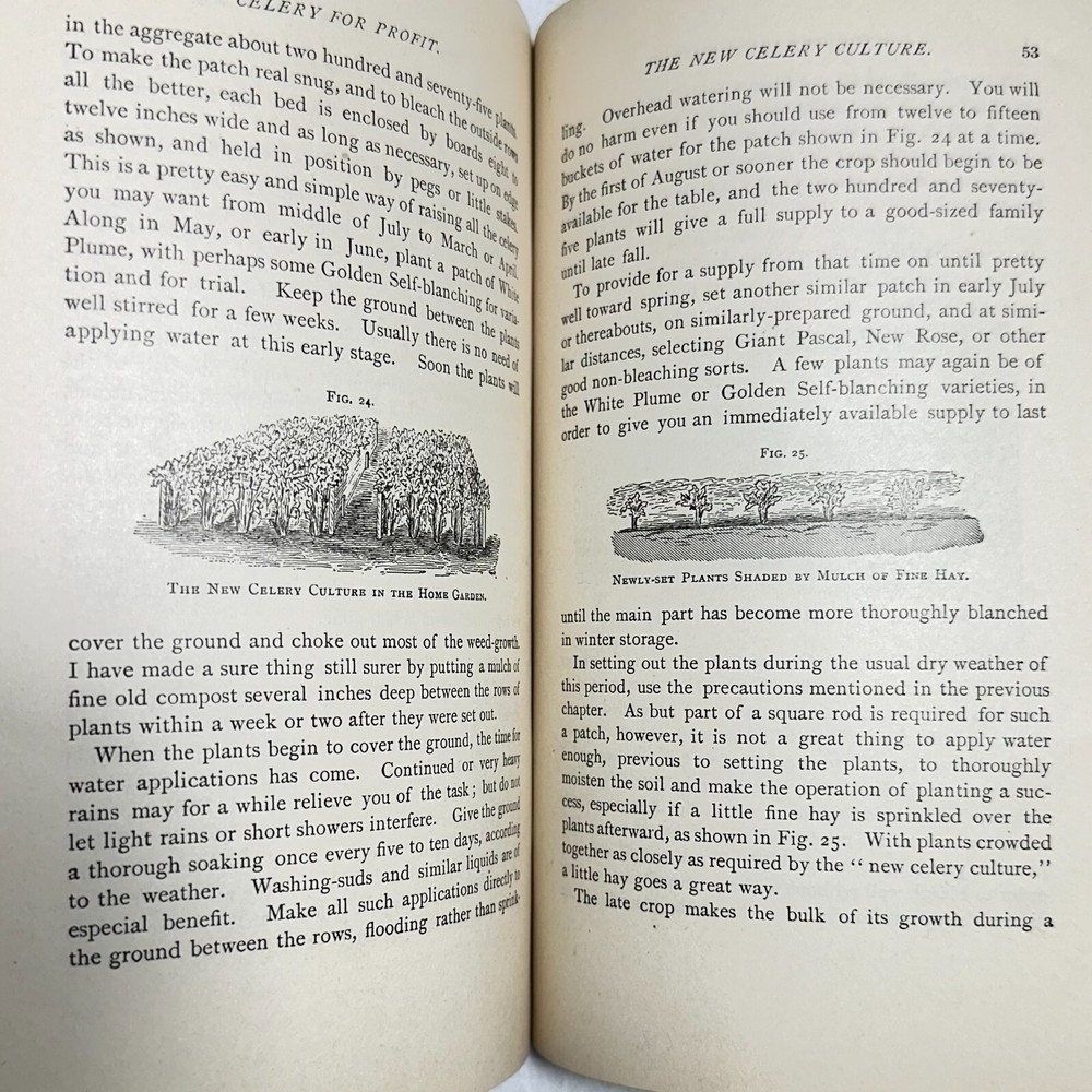 1909 W. Atlee Burpee Celery for Profit Modern Methods for Growing Celery Guide