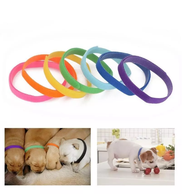 12Pcs Dog's Collars For Newborn Adjustable Identification Collar Reusable
