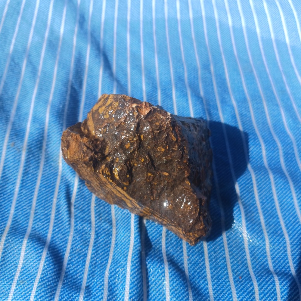 Jasper Rough Specimen Display Lapidary Potential