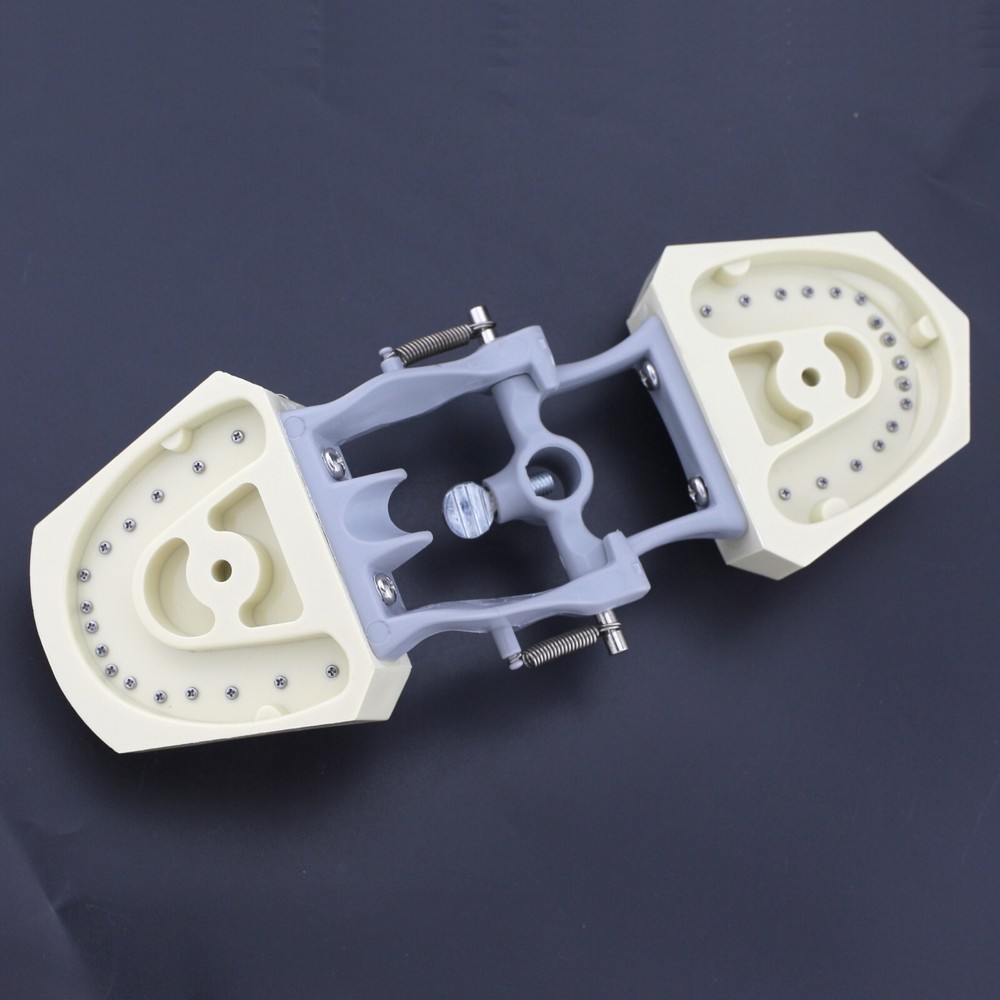US Columbia Dentoform 860 Type Dental Typodont Model & 32pcs Removable Teeth