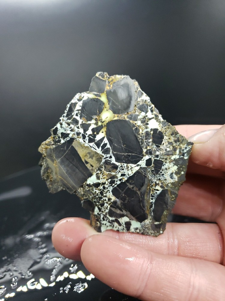 Nevada Gecko Variscite Rough