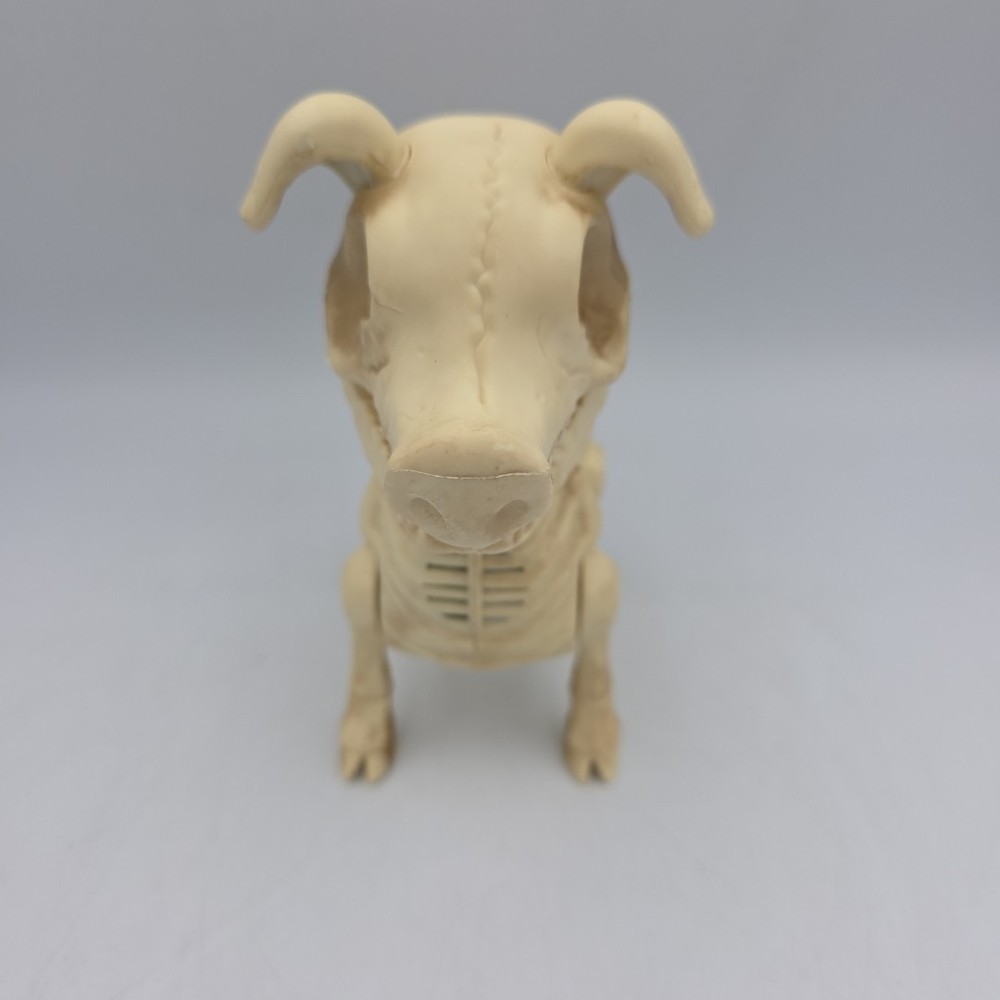 Animated Pig Skeleton 7"