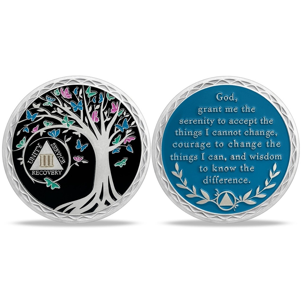3 Year Sobriety Coin, AA Chips Medallion Alcoholics Anonymous Three Years Sober