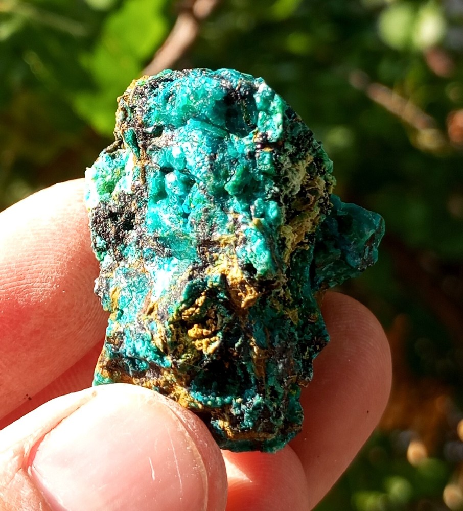 Marvelous Color  Small Aurichalcite
