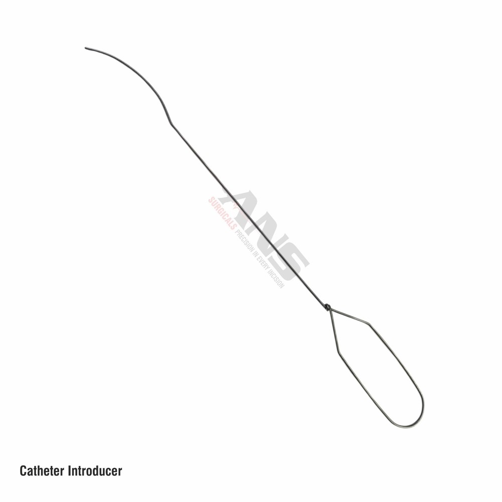 ANS Catheter Introducer