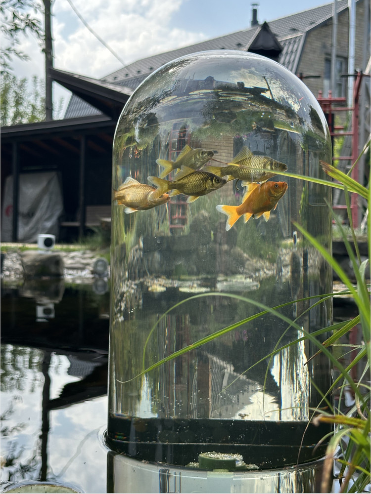 FishView