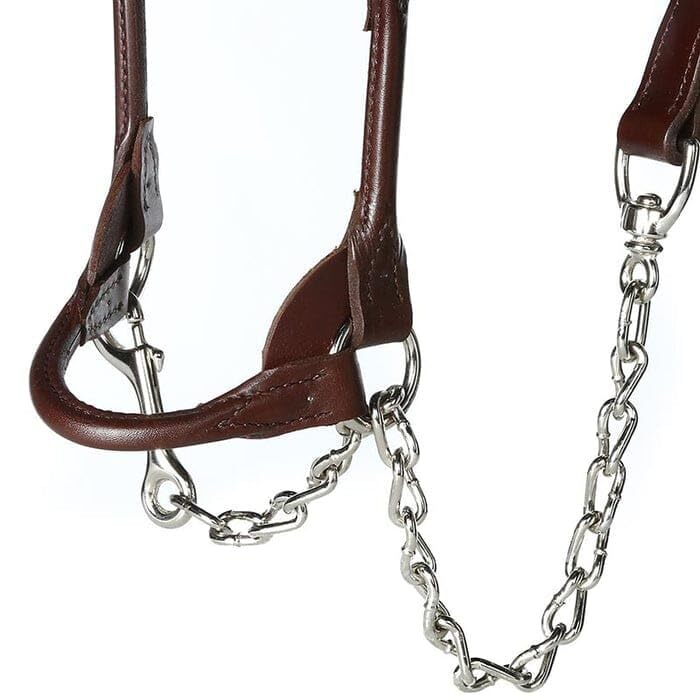 Western Leather Halter with Silver Fitting with Lead Chain All Size Available.