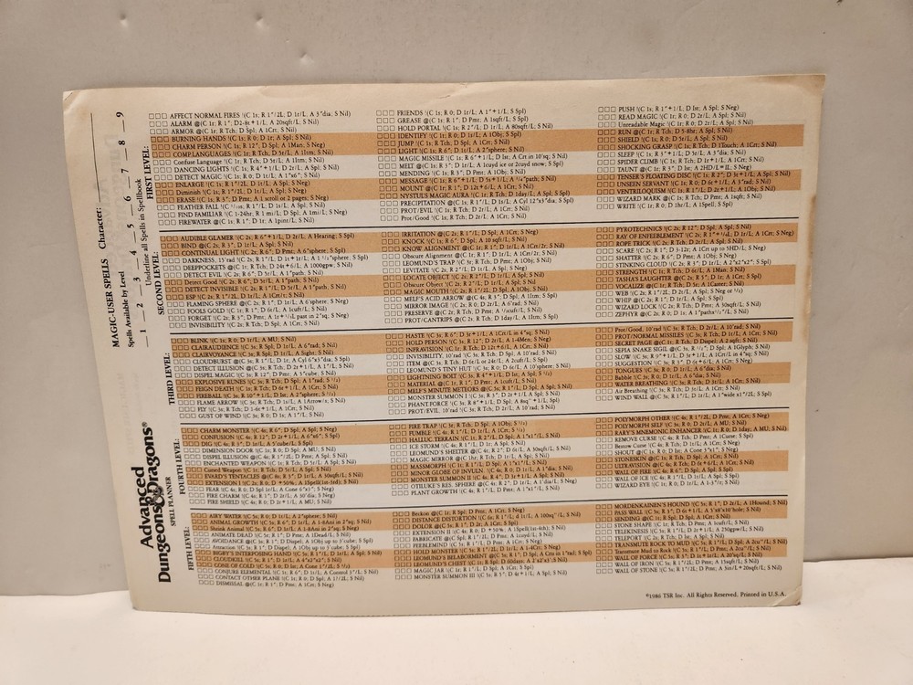 Dungeons & Dragons Player Character Record Sheets AC6 Plus Extra Loose Sheets