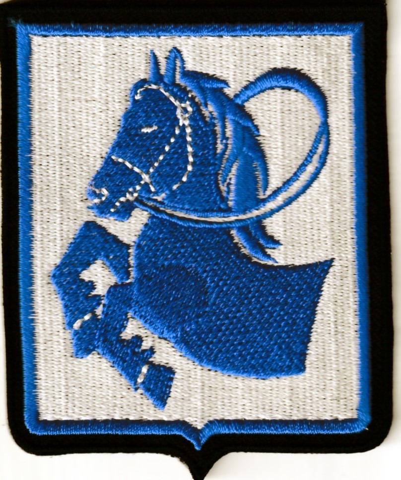 Czech Air Force CzAF PARDUBICE AB patch