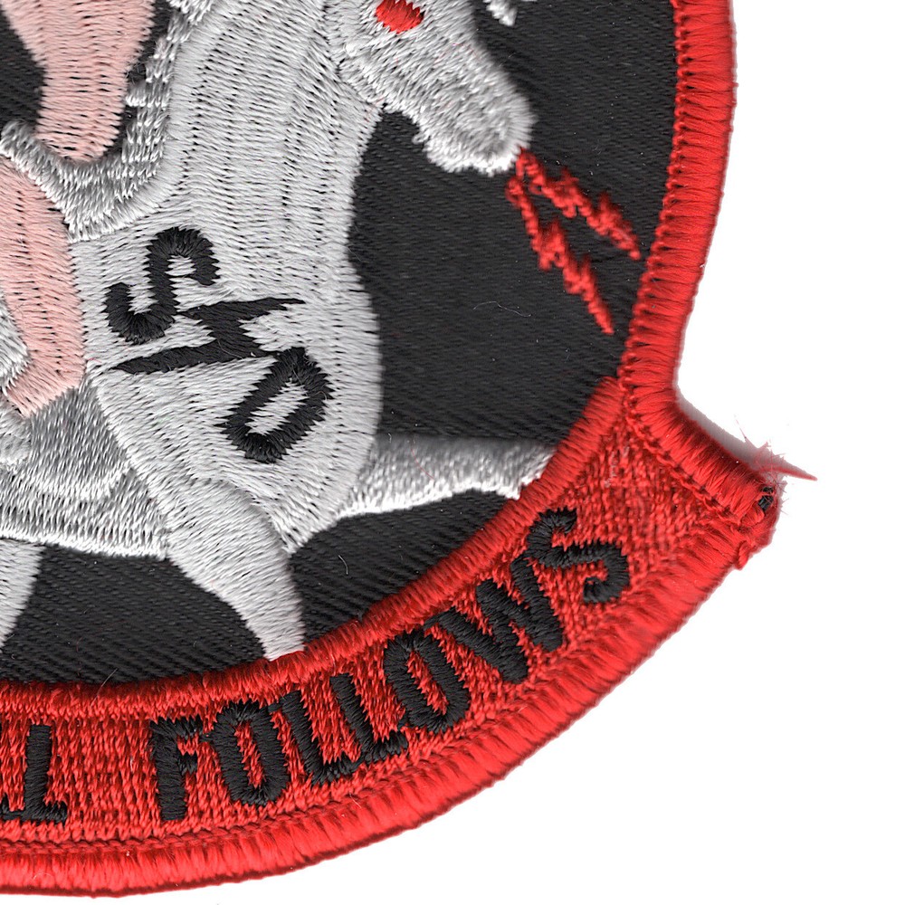 1st SOS Goose-11 Patch