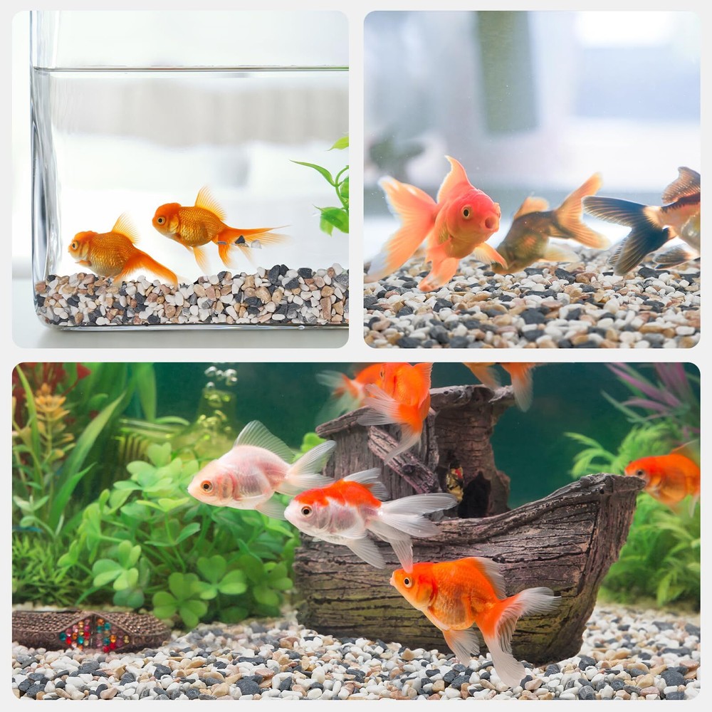 2.5 lbs Pebbles for Indoor Plants