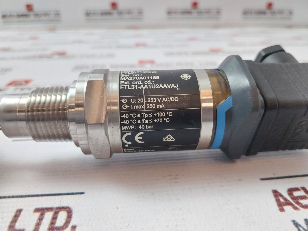 Endress+Hauser Liquiphant FTL31 Point Level Detector IP65