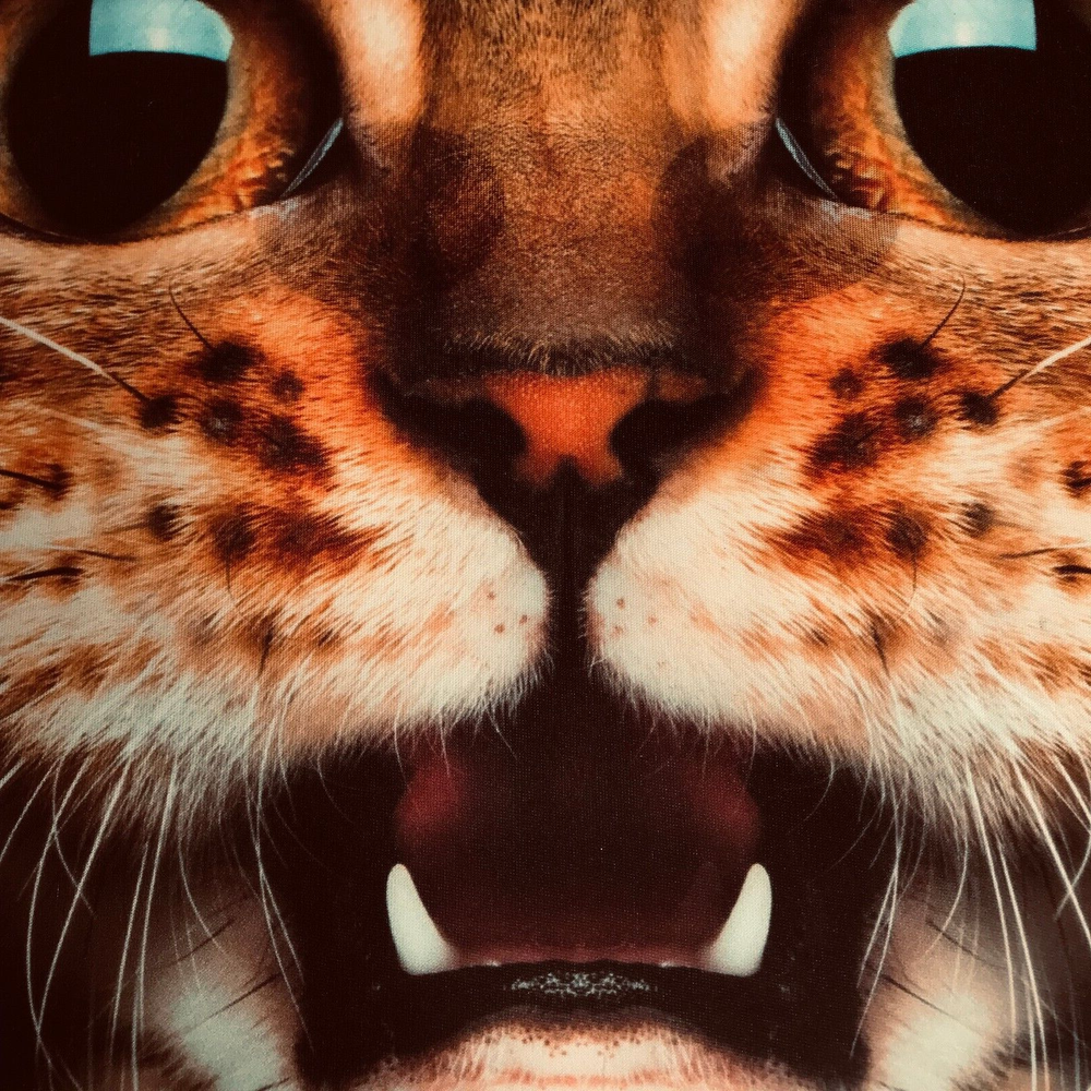 Large Cat Face Mask 43 cm x 38 cm