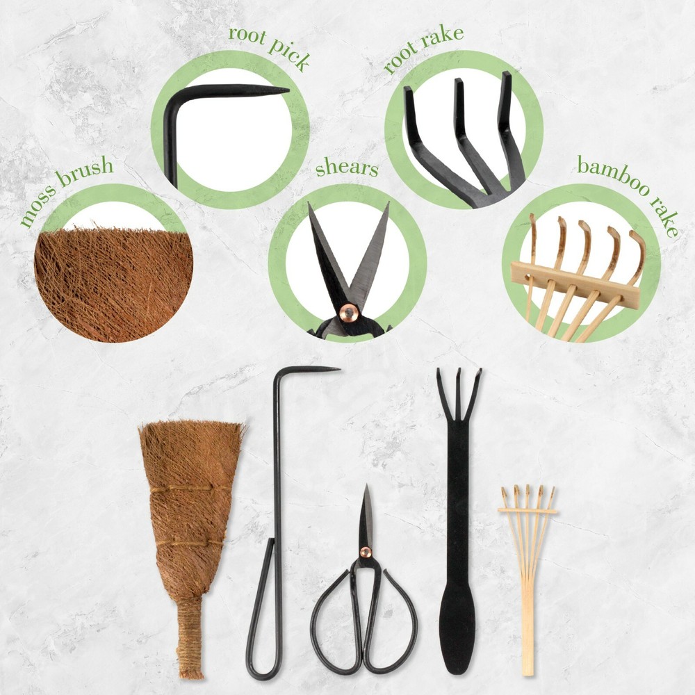 Bonsai Tool Set 5pc Root Rake, Shear, Root Pick, Moss Brush