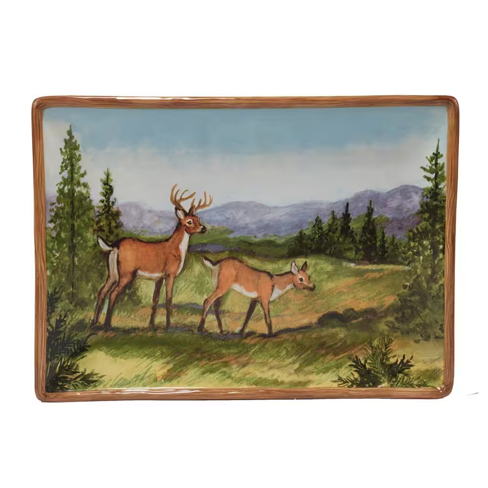 Mountain Summit 10 In. Assorted Colors Earthenware Rectangle Platter (Set of 1)