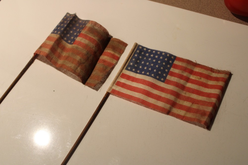 2 RARE Vintage 48 State Bicycle American Flags
