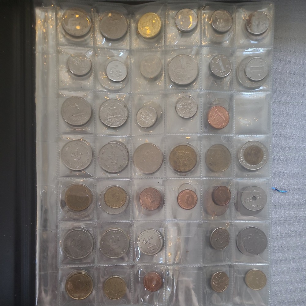 Starter Amateur Coin Collection