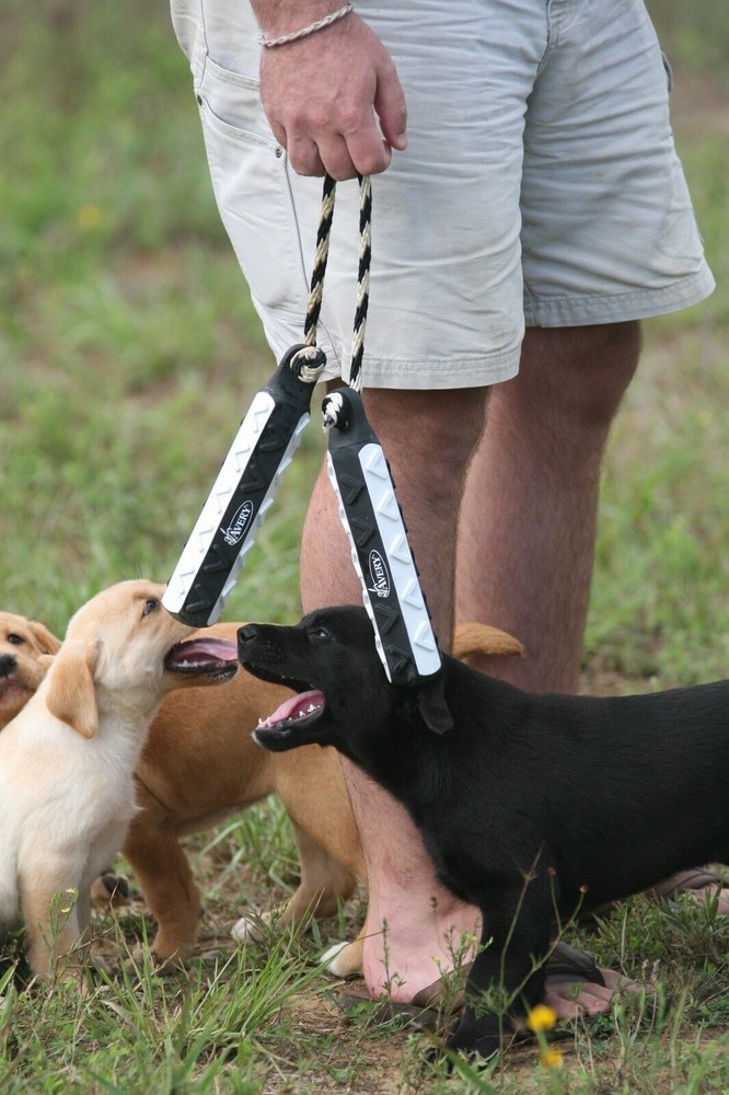 NEW AVERY HEXABUMPER 6 PACK FLASHER DOG TRAINING THROWING DUMMY / 3 COLORS