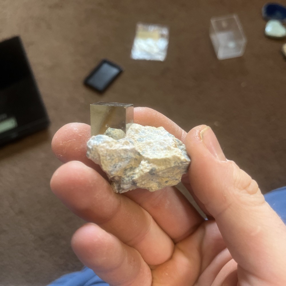 Pyrite On Limestone