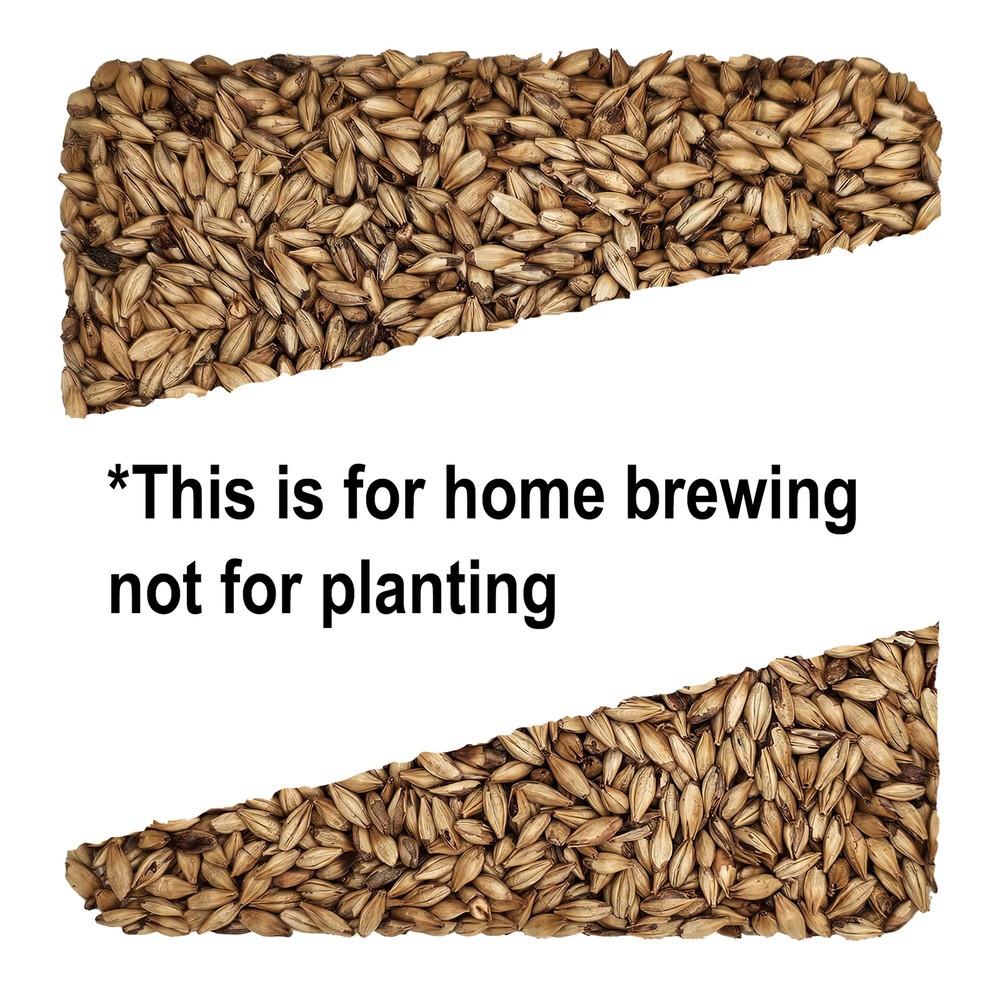 Home Brew Ohio Belge Grain 1lb