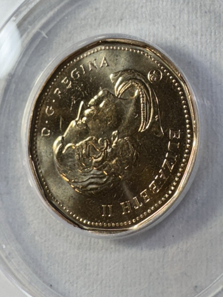 2012 Canada $1 Loonie Graded MS 66 by ANACS