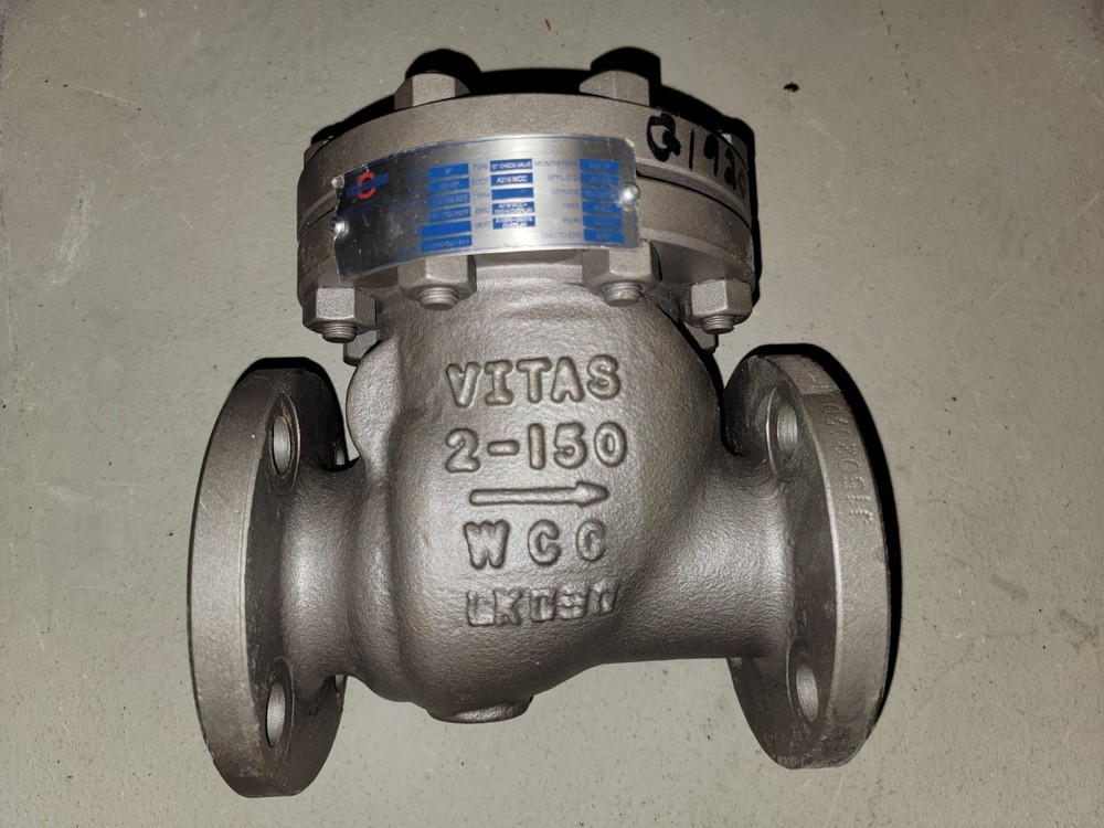 2" Swing Check Valve