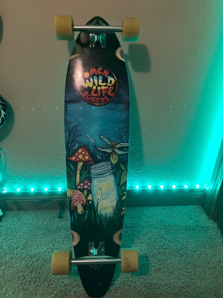 longboard skateboard complete used