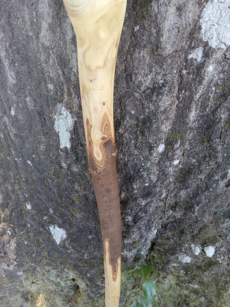 Handmade Unique Viper Snake Walking Cane Solid One Piece Stick