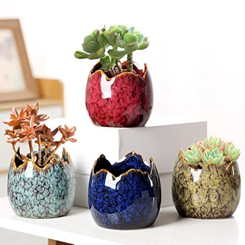 Succulent Pots with Drainage Half Dragon Egg Shell Design Ceramic Dragon Egg-1