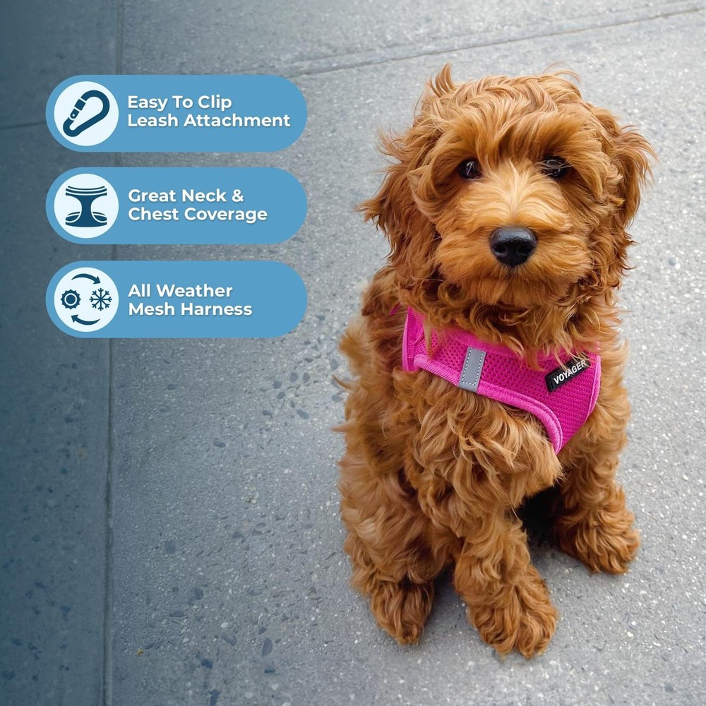 Step-in Air Harness All Weather Mesh Reflective No Pull Harness Dogs Durable New