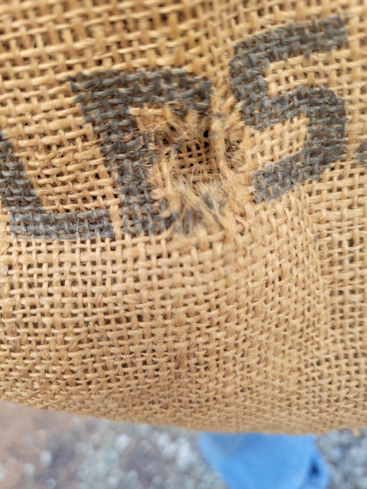 Burlap 50 LB Bag Kentucky Bluegrass