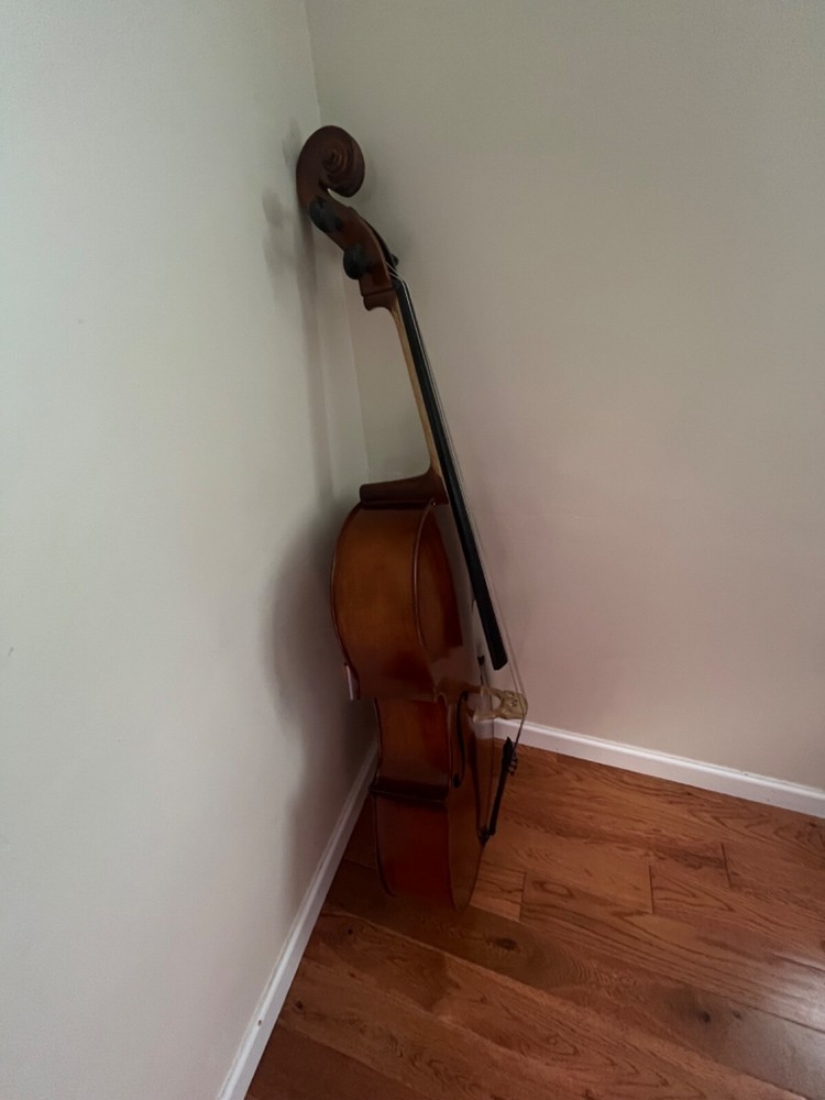 cello string instrument