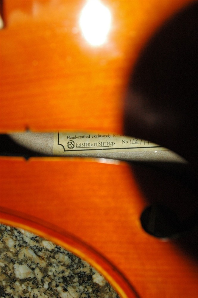 EASTMAN STRINGS "BELLA" 1/2 SCALE CELLO MODEL VC100