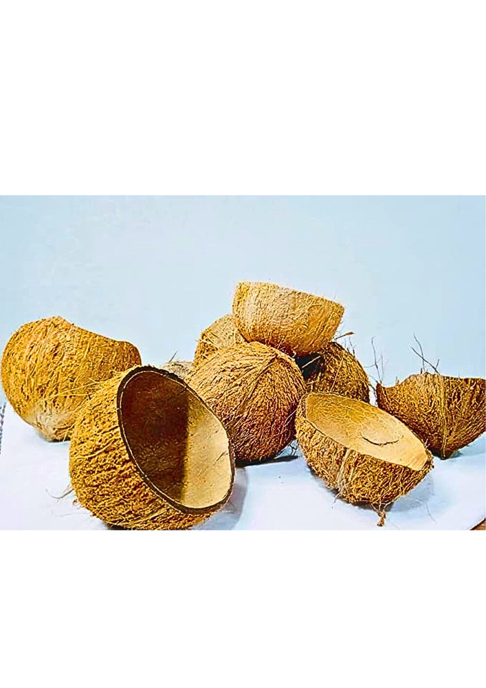 100% Ceylon Natural COCONUT SHELL Pure Organic Eco Friendly
